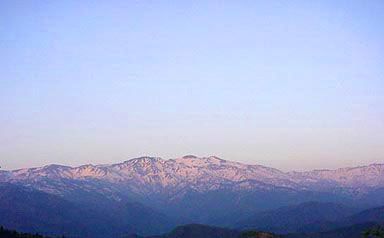 �[�i�̔��R