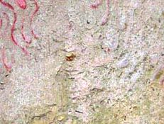 �g�ؕs�����@��