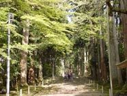 平泉寺の参道