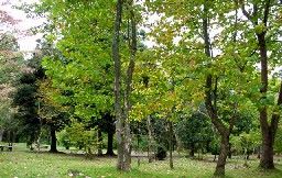 ���،���