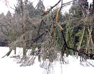 ��܂���@2�����{