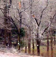 ��܂���@3�����{