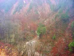 白山スーパー林道