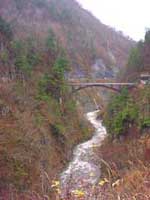 白山スーパー林道