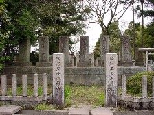 ���c��ǂ�̕�