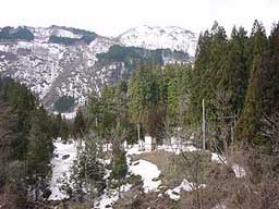 ���Y�勴�t�߂̕��i