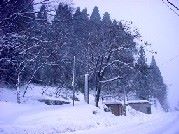 ���������_�Ђ̓o���