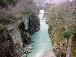 �s�V�����牺���̎�括�J