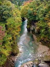 �s�V������