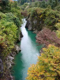 ���勴����