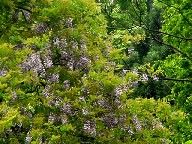 �[�̒Z���t�W